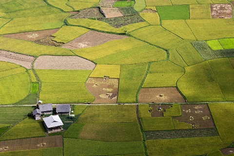 L&atilde;ng du với vẻ đẹp ấn tượng Bắc Sơn